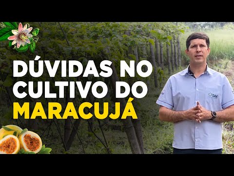 AS PRINCIPAIS DÚVIDAS NO CULTIVO DO MARACUJÁ