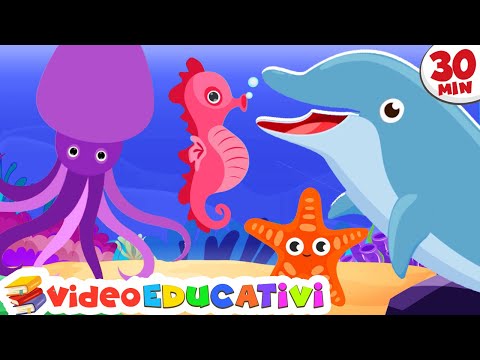 Animali Marini + Altri Video Educativo per Bambini 🌊🐬 📚 Vocabolario per Bambini