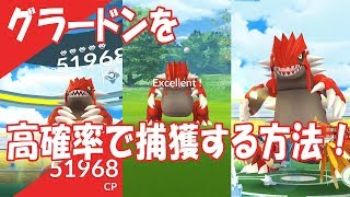 グラードン ポケットモンスター タツベイ べイリーフ パールル