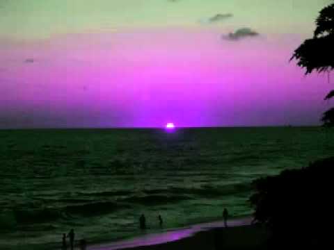 kevin duvall   i feel love baggi begovic vocal mix