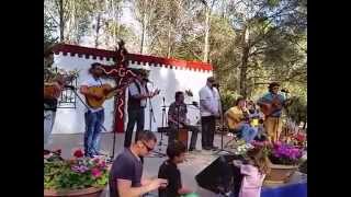 Yo no te puedo dar riqueza  Rumba