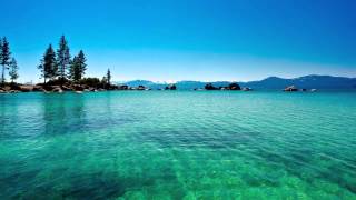 Willowglass - Oceaner Foder Liv