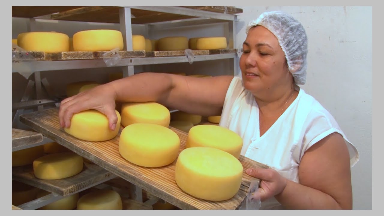 Produção de Queijo na Agricultura Familiar, vale a pena? Conheça essa História!