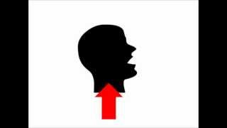 ELIO E LE STORIE TESE - GARGAROZ (estratto da STUDENTESSI) - Videolyric - con testo