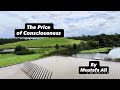 The Price Of Consciousness