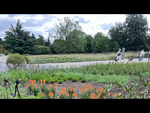 Top ten Attractions at Kew Gardens-in just two minutes
