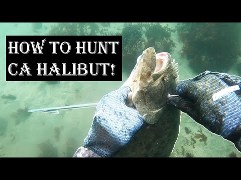 HALIBUT SPEAR, CLEAN & COOK: How to Spearfish CA Vol 21