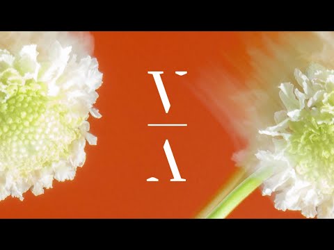 Blanka Barbara - August