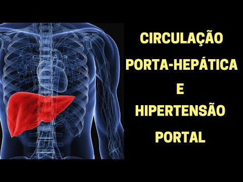 Circulação porta-hepática e hipertensão portal - Fisiologia Humana