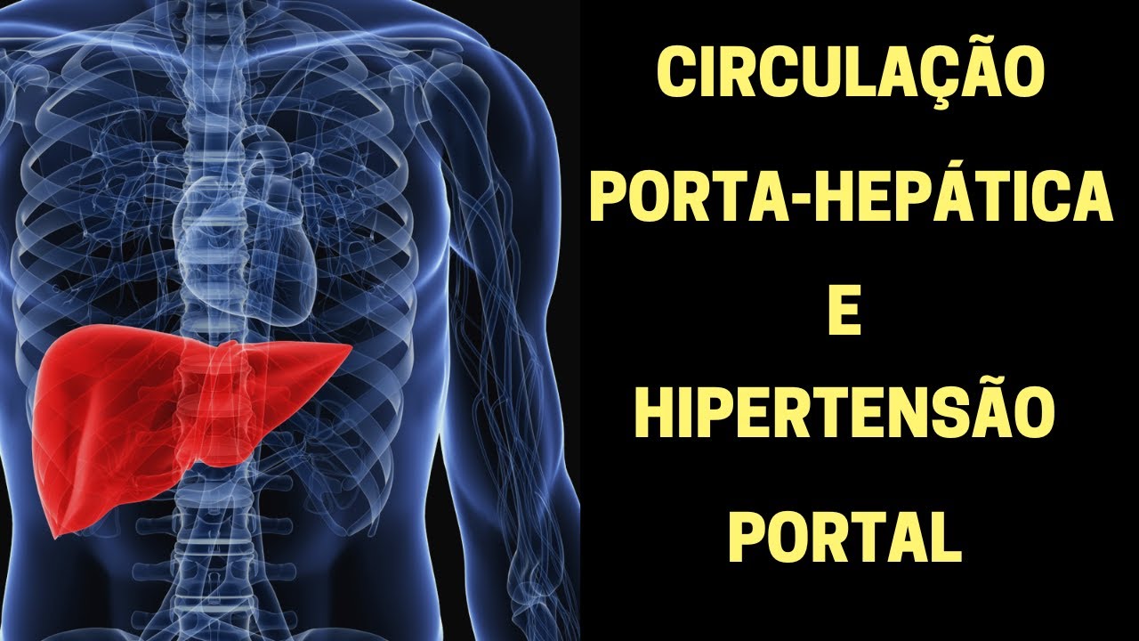Circulação porta-hepática e hipertensão portal - Fisiologia Humana