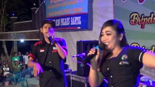 Download lagu cinta terlarang NEW MAWAR RIMBA mp3