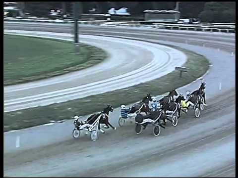 Trotto 31/12/2014 - 2° corsa