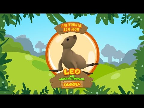 Witness21  2019 09 28