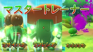 ナゾノクサ ポケットモンスター タッツー ツンベアー タタッコ ナゾノクサ ポケットモンスター タッツー ツンベアー タタッコ