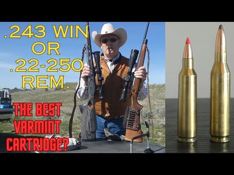 22-250 Rem. vs 243 Win. The Best Large Varmint Cartridge?