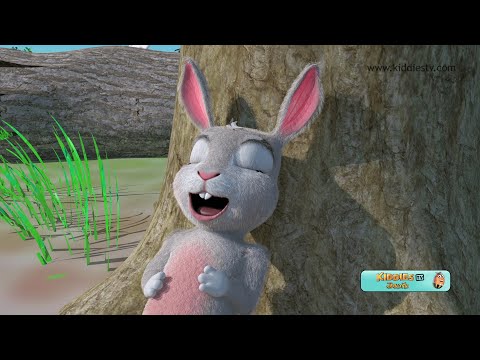 కుందేలు తాబేలు | Rabbit and Tortoise Song in Telugu |Best Telugu Songs and Rhymes | Kiddiestv Telugu