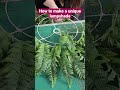 How to make a unique lampshade, using faux fern