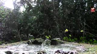 preview picture of video 'Ballade à la cascade de la cauhne de Cajarc'