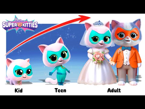 SuperKitties Growing Up Compilation | Go WOW