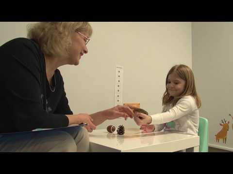 Reach Strategic video.