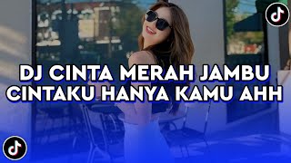 Download lagu DJ CINTAKU HANYA KAMU AHH • CINTA MERAH JAMBU • VIRAL TIKTOK TERBARU 2025 ( Yordan Remix Scr ) mp3 Download lagu DJ CINTAKU HANYA KAMU AHH • CINTA MERAH JAMBU • VIRAL TIKTOK TERBARU 2025 ( Yordan Remix Scr ) mp3