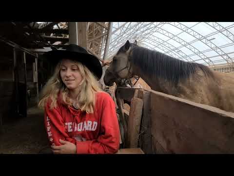 The best way to spend a rainy miserable day !  Inside horsin around  with these characters .