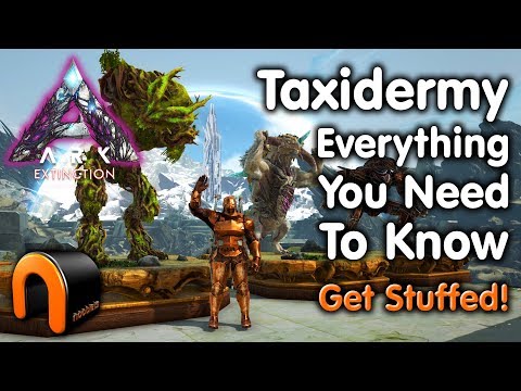ARK Extinction TAXIDERMY Everything You Need To Know!