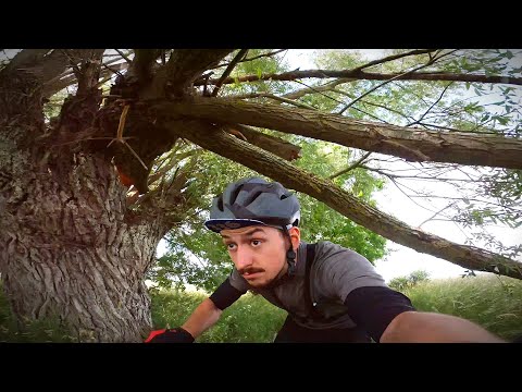 Pomorska 500 - Sentymentalne Ultra z Całą Masą Pecha.(2022)