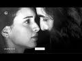 Evarevaro Slowed Reverd Animal Ranbir Rashmika Tripti Dimri
