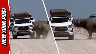 Video Thumbnail
