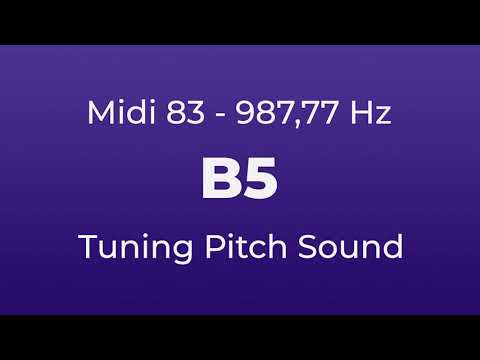 B5 Tuning Pitch | 987,77 Hz | Midi Key 83