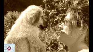 The ones that didn't make it