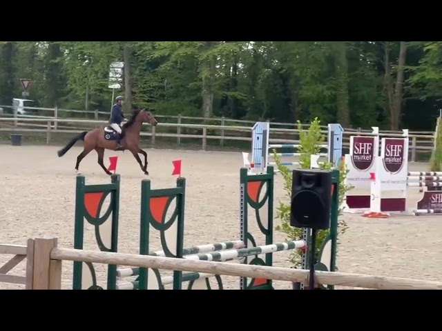 Cap Ferrat cityhorse z 