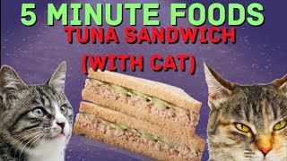 5 Minute Foods - Tuna Sandwich