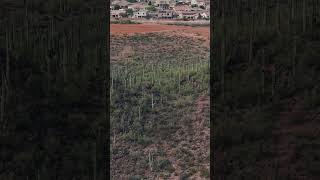 Scenic Arizona Drone Footage #marana #tucson #pimacounty