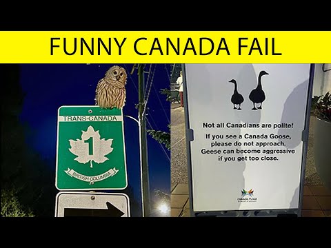 “Only in Canada” Photos That Show Why This Country Feels So Different