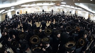 דינוב תקציר2