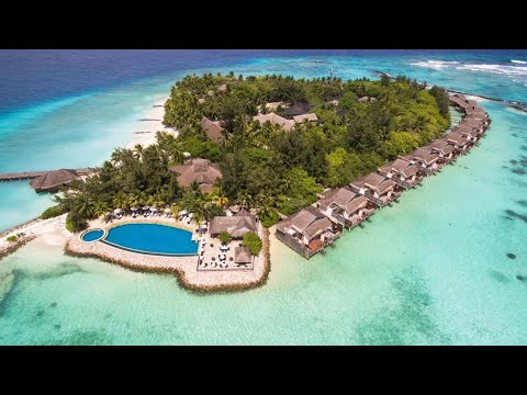 Videos del Taj Coral Reef Resort  Spa 5★ en Atolón de Malé Norte, MaldivasVer MásVerPrecios18CerrarConsulta por Whatsapp 🇦🇷BookingTripadvisorExpediaAgodaTravelocityOrbitzPricelineTripSkyscannerDespegarKayakHotelesDestiniaTrivagoAlmundoLastminuteTuiWotif