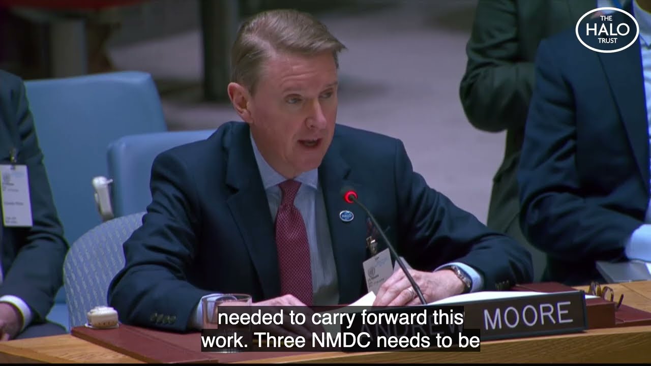 HALO advises UN Security Council on safe access for chemical weapons inspectors
