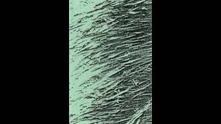 John Hudak - Tall Grasses (1994)