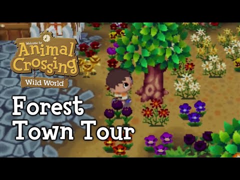 Animal Crossing: Wild World - Forest Town Tour