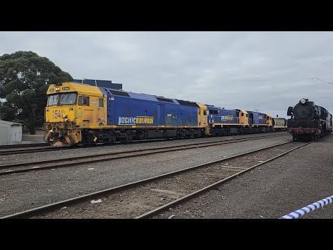 7731V Pacific National Grain Train 30/05/25