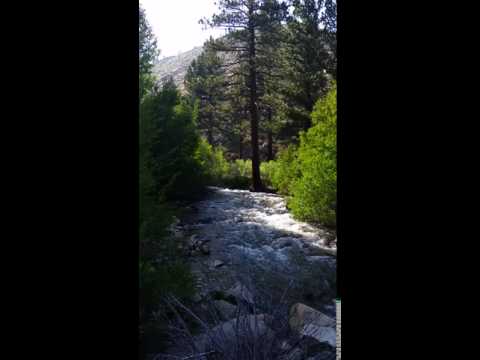 Right in the camp is this trout stream/river. They were planting rainbow trout while we were sitting by the river having coffee.