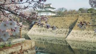 Big in Japan (2017) - Part 1