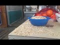 Sesame Street Episode 3919 FULL