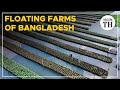 How Floating Farms Help During Floods