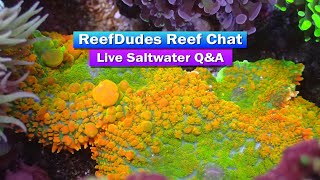 ReefDudes Saltwater Reef Chat Live QA