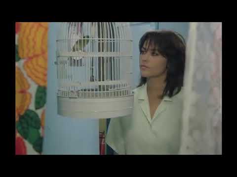 Hülya avşarın en ateşli sevişmesi