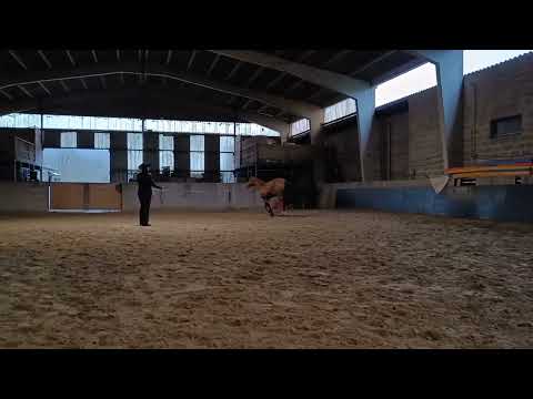 Longe Line E Pac 01 2022 Merlin DD Gunners