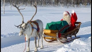 Reno & Papá Noel - Los secretos de renos de Santa Claus - Laponia Finlandia Rovaniemi
